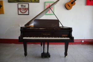 Hofmann Czerny