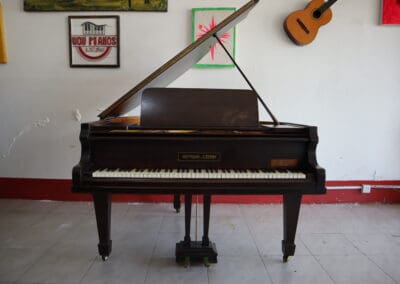 Hofmann Czerny