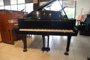 Yamaha G2